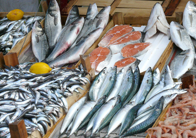Bright Prospects for Chinese Sea Food Products Import and Export